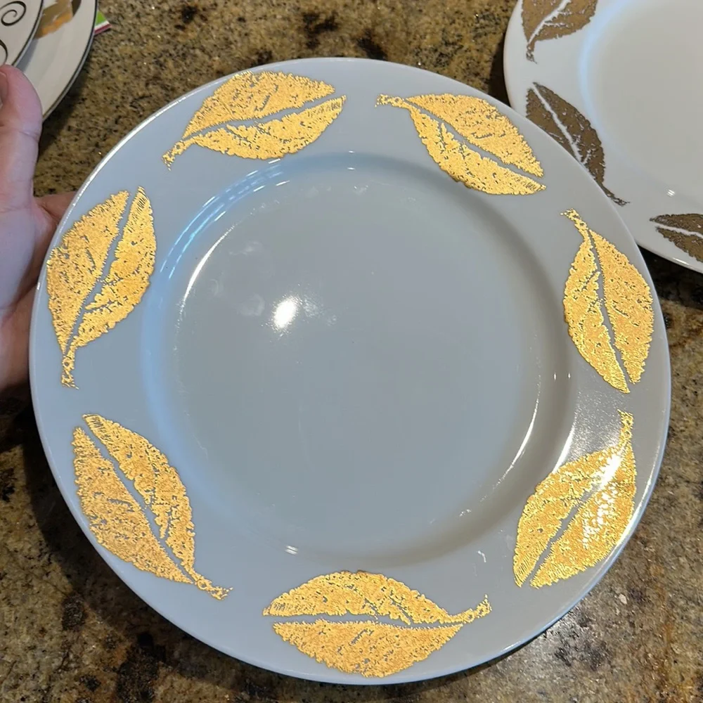 Set of 2 crate & barrel dinner plates